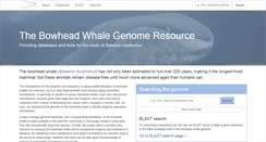 Desktop Screenshot of bowhead-whale.org