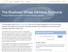 Tablet Screenshot of bowhead-whale.org